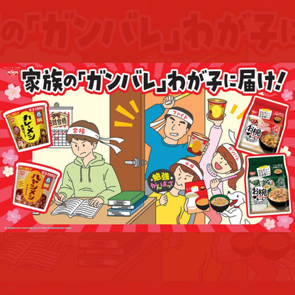 カレーメシ ハヤシメシ デミグラス 日清食品 インスタント ごはん ご飯 103g×6個