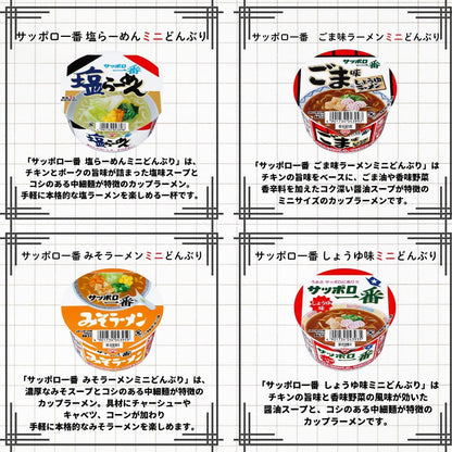 カップ麺 詰め合わせ 箱買い ミニ 24種セット カップラーメン カレー 日清 カップヌードル (24種)