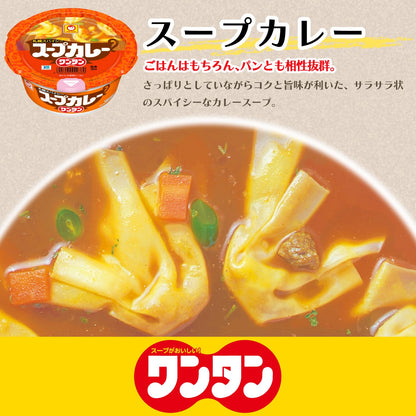 東洋水産 スープカレーワンタン 29g×12個