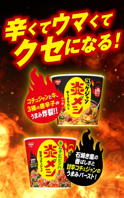 日清炎メシ ユッケジャン [辛うま牛だし] 日清食品 インスタント ごはん ご飯 106g×6個