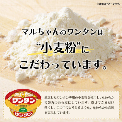東洋水産 スープカレーワンタン 29g×12個