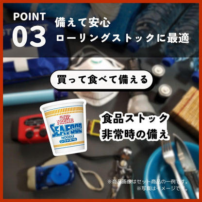 カップヌードルシリーズ 12種×各1食 レギュラーサイズ 日清食品 カップ麺 詰め合わせアソート 箱買い